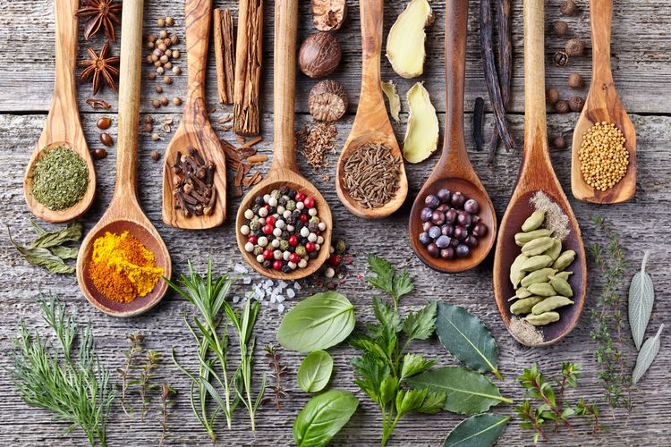 Pengobatan |Alat vital kota bumi&nbsp;081367759700